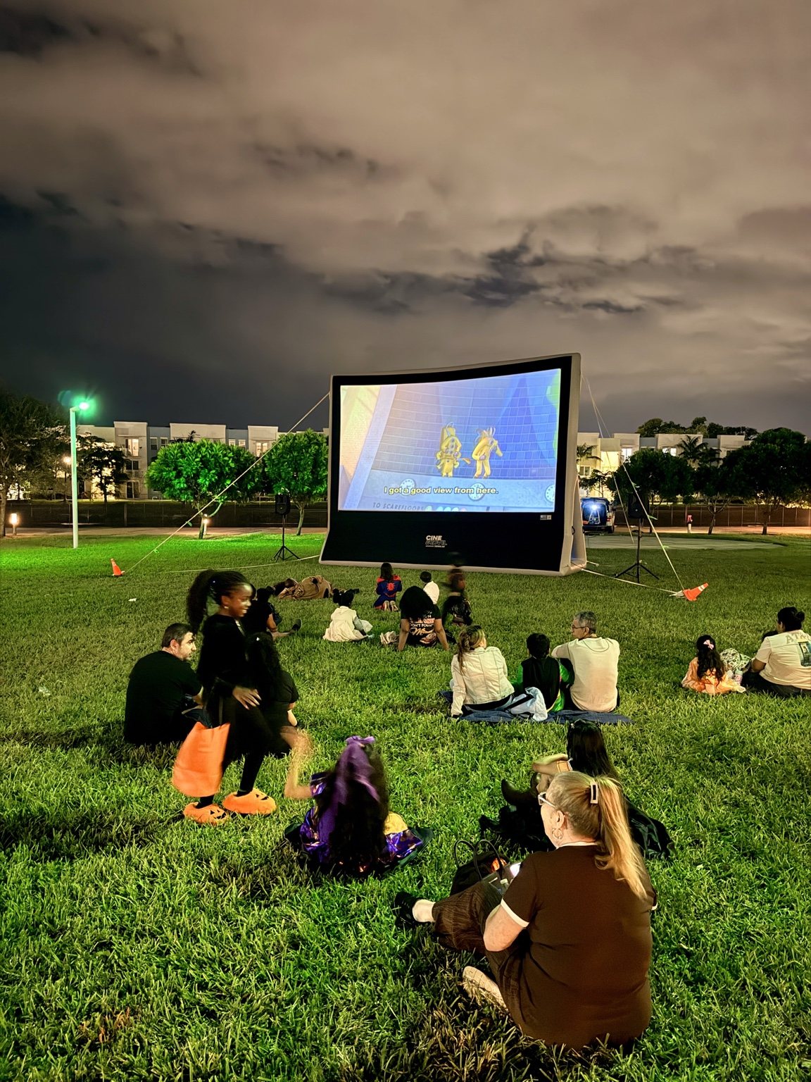 Neighbors enjoying an outdoor movie night